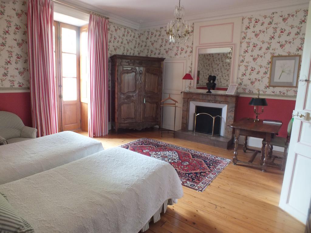 Château de Nazé Vivy Cameră foto