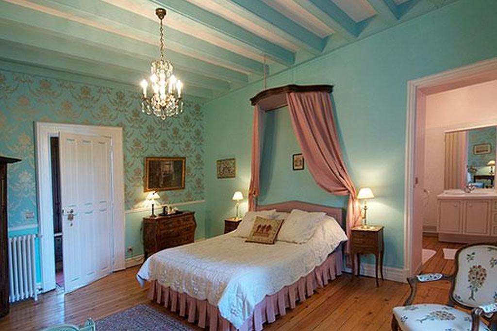 Château de Nazé Vivy Cameră foto